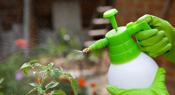 САД / ОГОРОД / ДАЧА