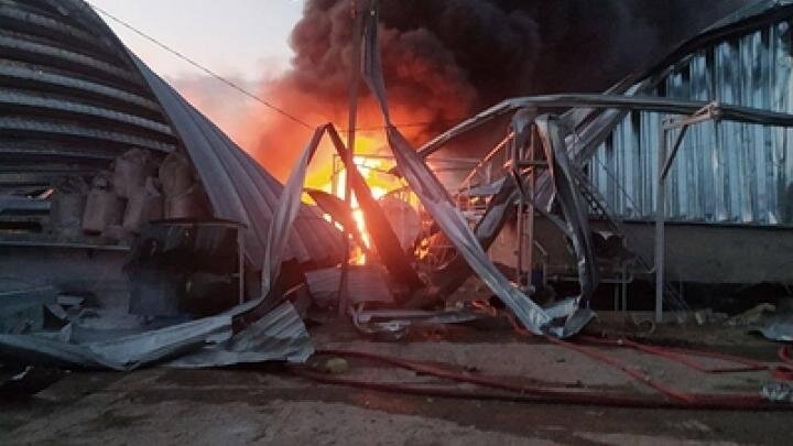 Фото: globallookpress.com/Cover Images