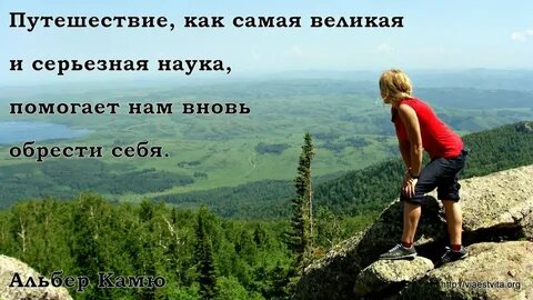 Картинка из сети