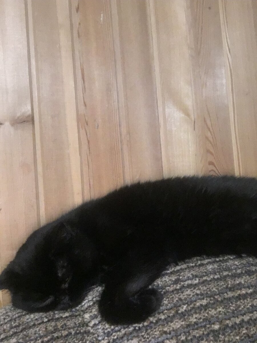 Наоми, похулиганили и спим