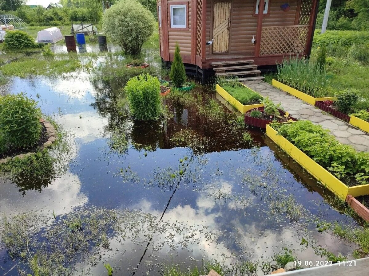 Источник Яндекс Картинках по запросу «подтопление участка»