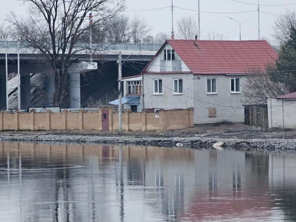 Брянское МЧС предупредило об опасно-рекордном повышении уровня воды в реках  Десна и Болва | Брянский Ворчун | Дзен