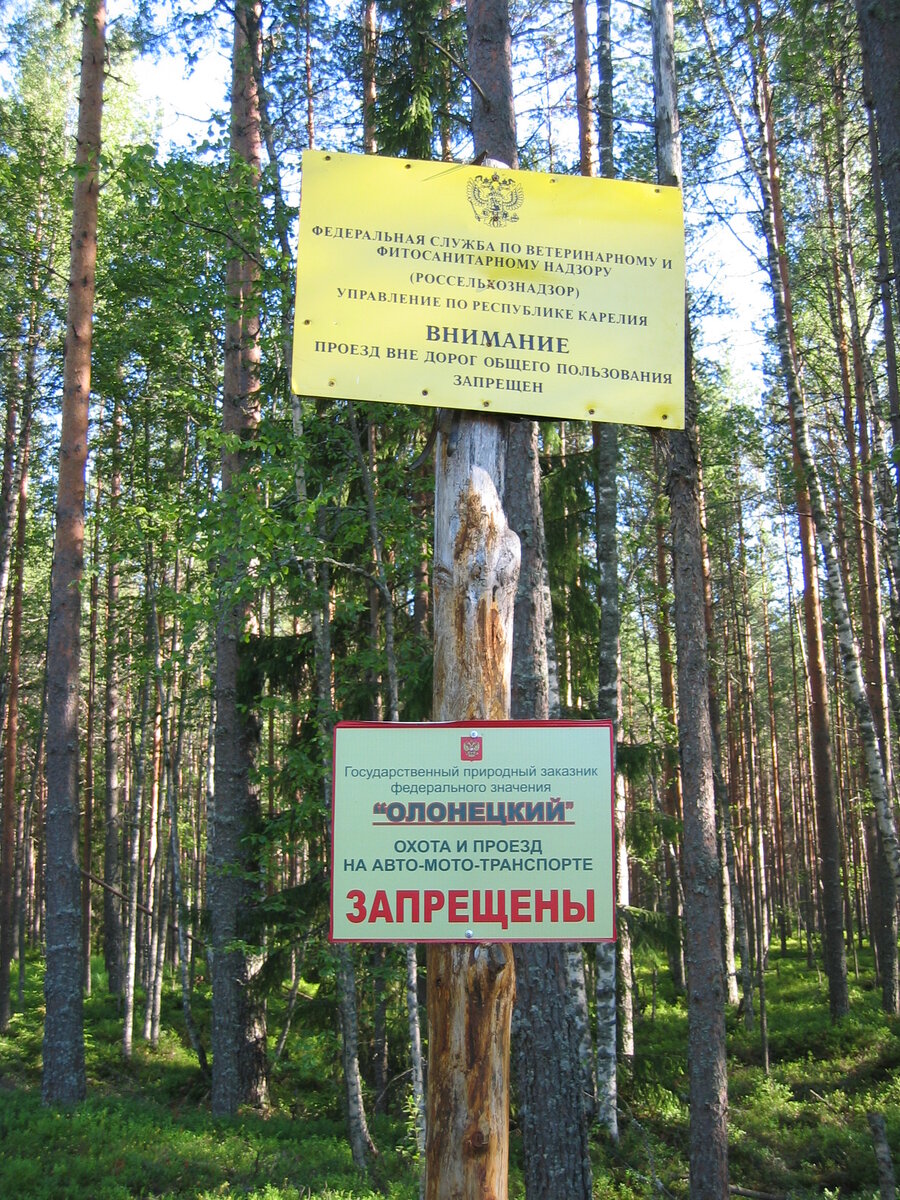 Где летом отдохнуть на Ладоге. Микропутеводитель по пляжам Олонецкого района  | Дмитрий Афанасьев | Дзен