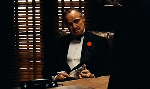 Фото из свободного источника в Интернете