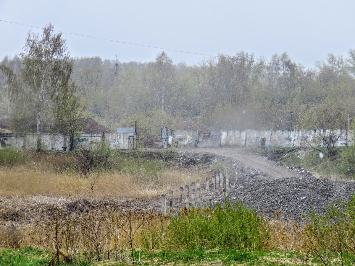 Фпк - жк Парковый, Берёзовая роща - было - стало. Кемерово | Екатерина про  Кемерово | Дзен