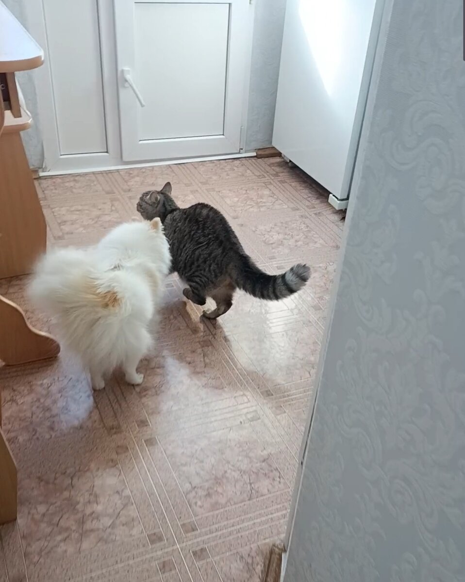 Я и Муся