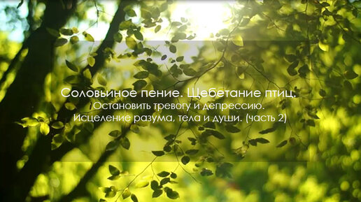 Соловьиное пение. Щебетание птиц. Остановить тревогу и депрессию. Исцеление разума, тела и души. (43)