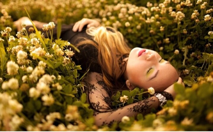 Яндекс картинки 