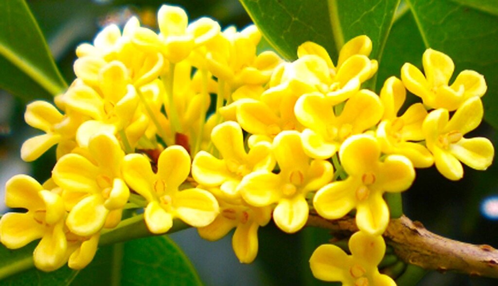 Листайте галерею для просмотра фото.