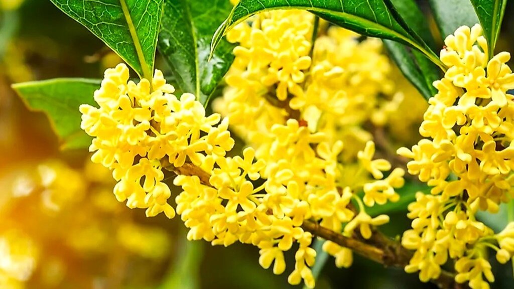 Листайте галерею для просмотра фото.