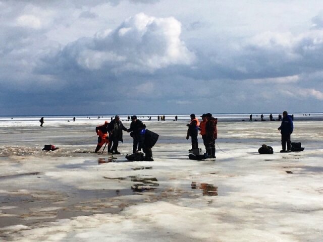    В парке Степанова утонул мужчина