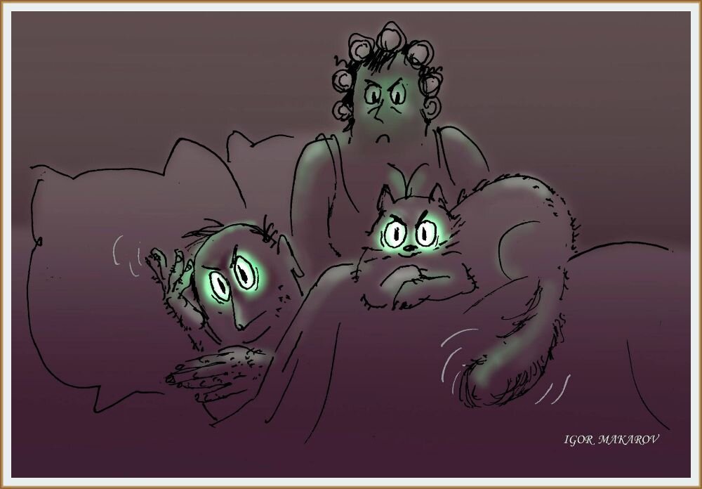 Карикатура художника-карикатуриста Игоря Макарова из серии " Спокойной ночи "