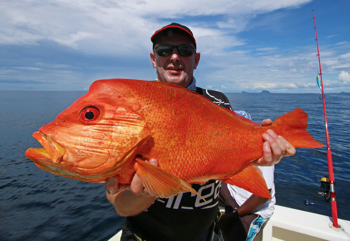 Краснопёрый луциан (Lutjanus sanguineus) или Humphead snapper | GameFishing  – Трофейная рыбалка | Дзен