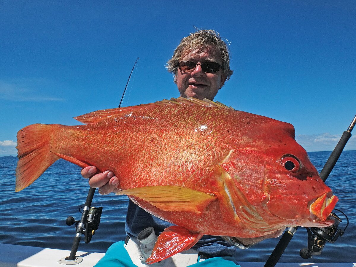 Краснопёрый луциан (Lutjanus sanguineus) или Humphead snapper | GameFishing  – Трофейная рыбалка | Дзен