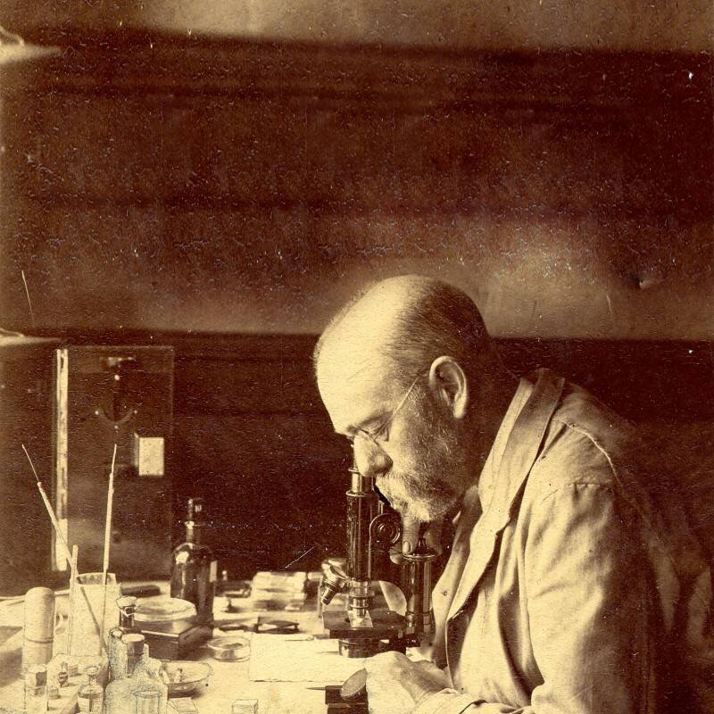 Роберт Кох, немецкий врач, микробиолог и гигиенист. Коху удалось в 1876 году выделить и культивировать вне организма возбудителя сибирской язвы и впервые подробно описать его цикл жизни и роль в развитии заболевания. 