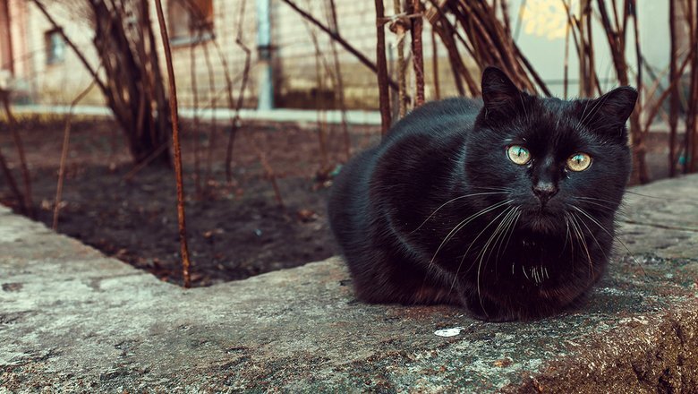 Источник: Freepik