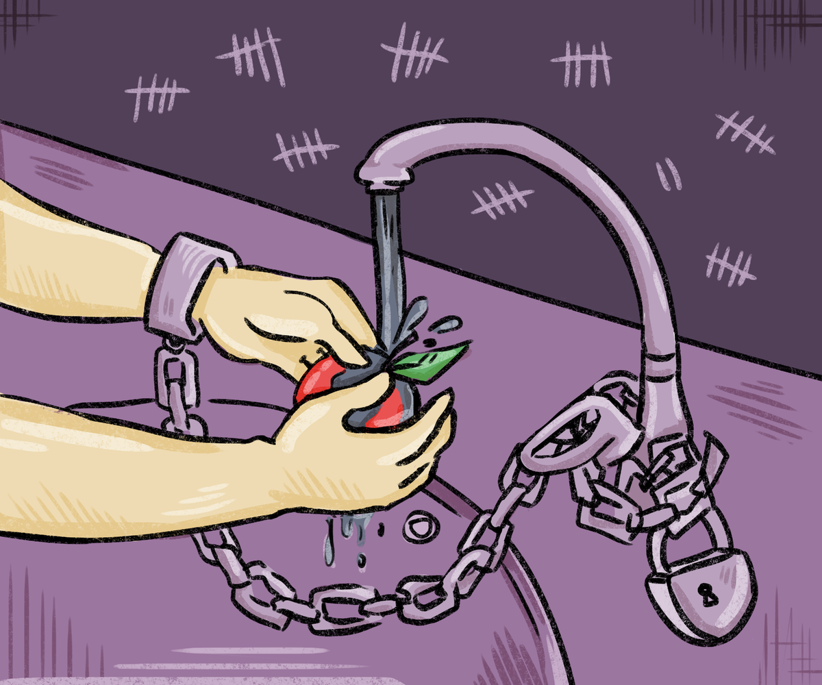 Фото из открытого источника 