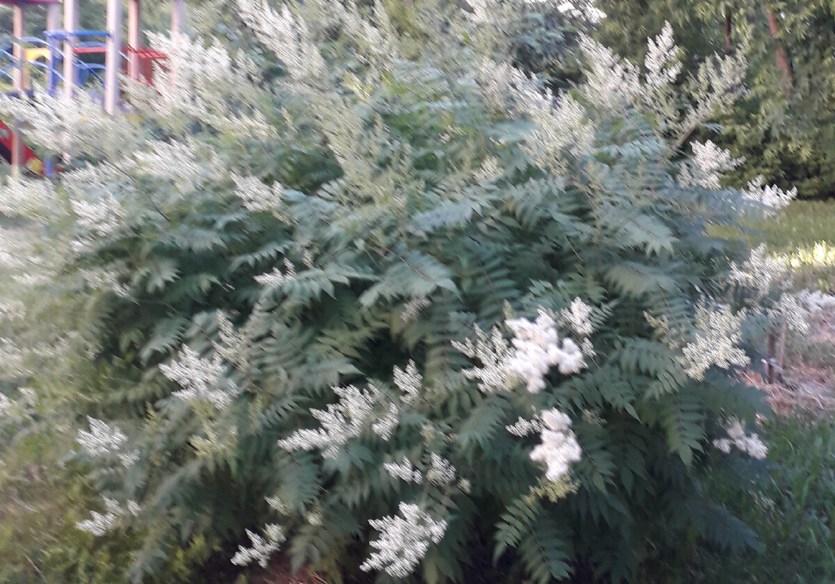 Фото 1. Для красоты. Ни о чем. Релакс)))
