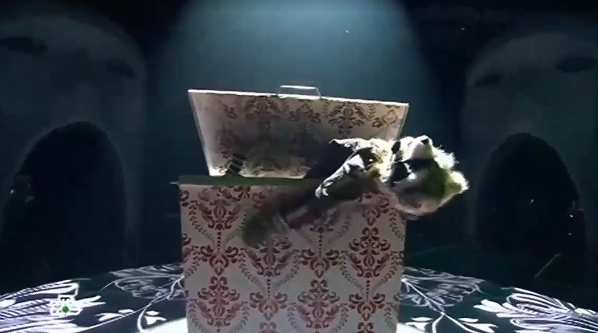 5 канал маска. шоу маска 2022 года. 5 канал маска. 5 канал маска. шоу маска.