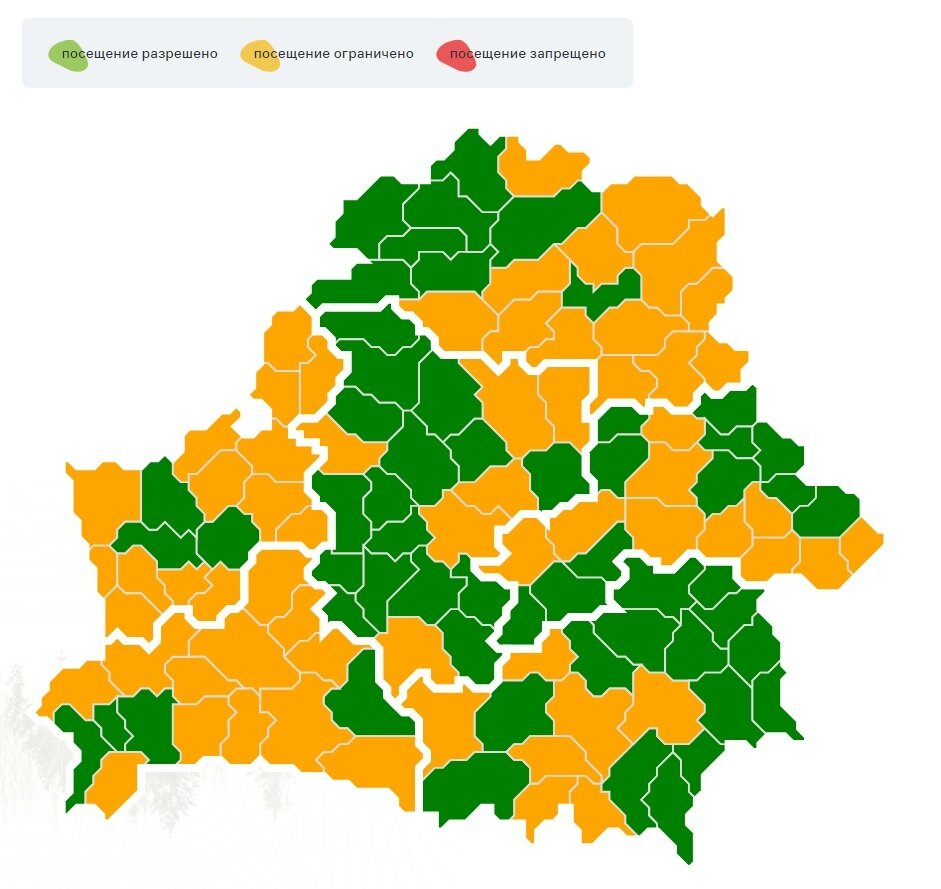 В каждой области. Ограничения на посещение лесов ввели уже в 62 районах Беларуси