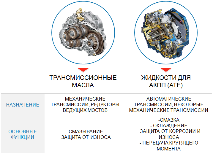 Картинка 2. Назначение и основные функции 