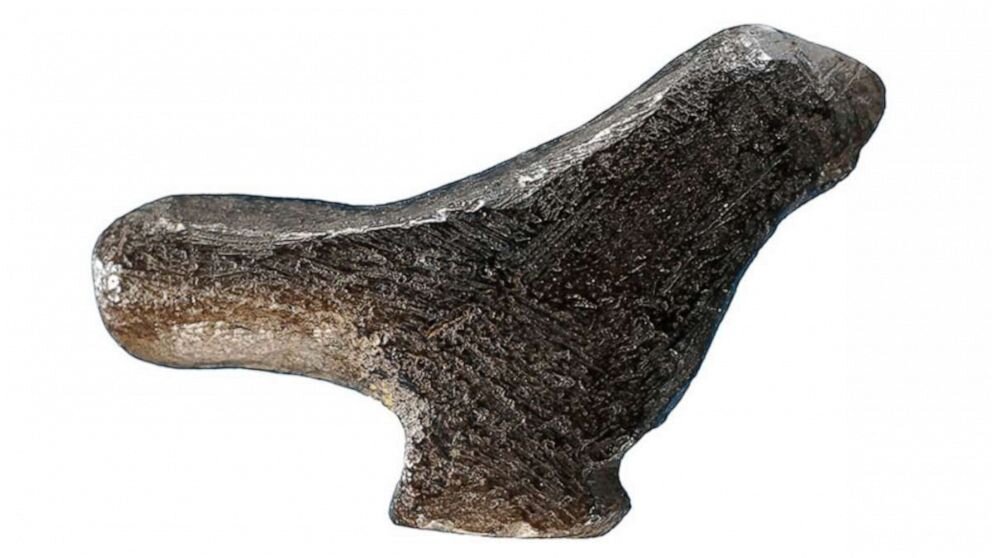 Этой статуэтке птицы 13,5 тысяч лет, она найдена в Китае