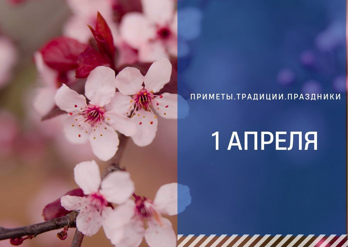   ГТРК "Ставрополье"
