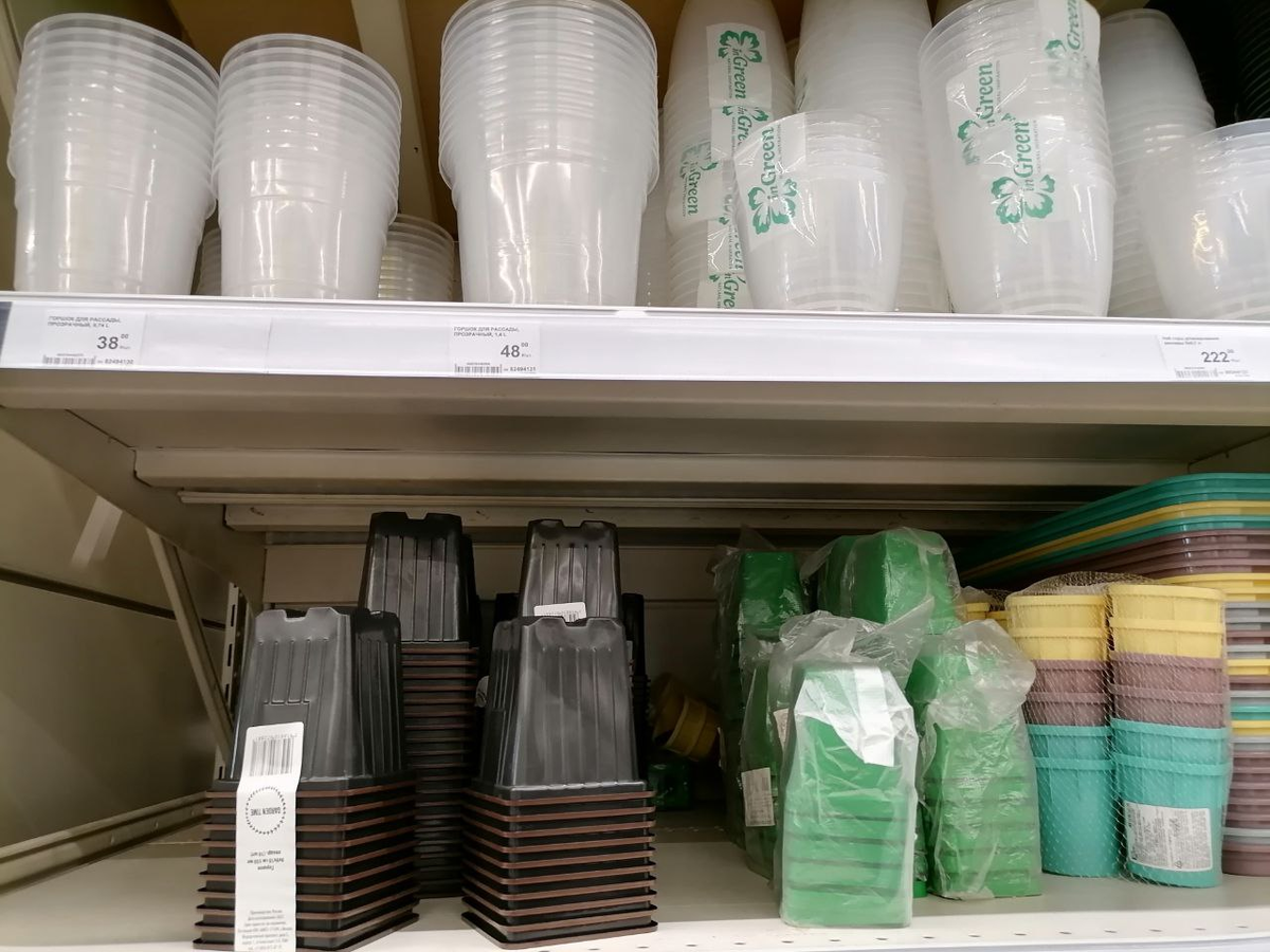 Рассадный ассортимент, цены (экскурсия по Леруа, Кемерово) | уДачный ...