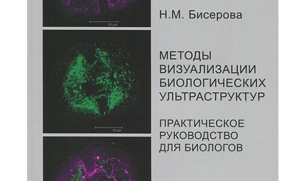Источник фото: Ozon