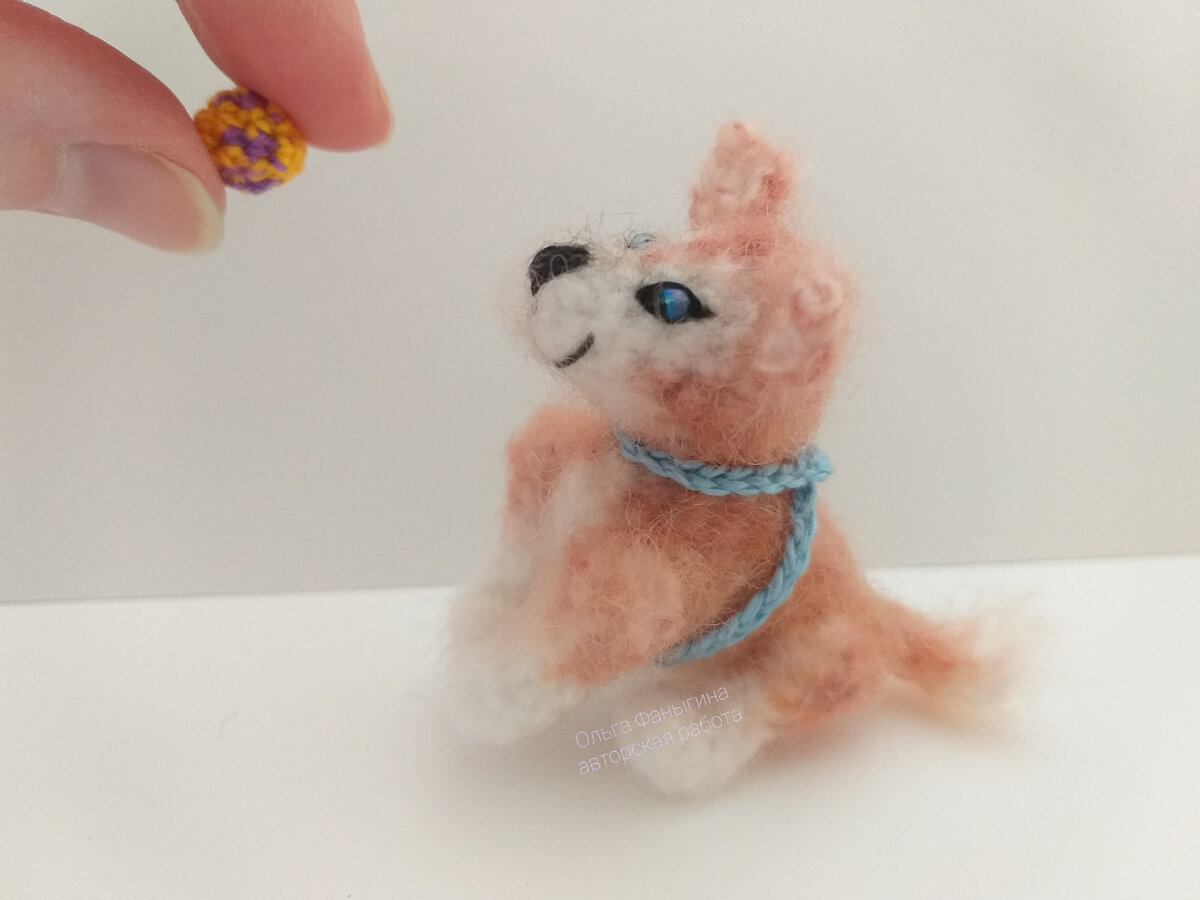 Веселые хаски