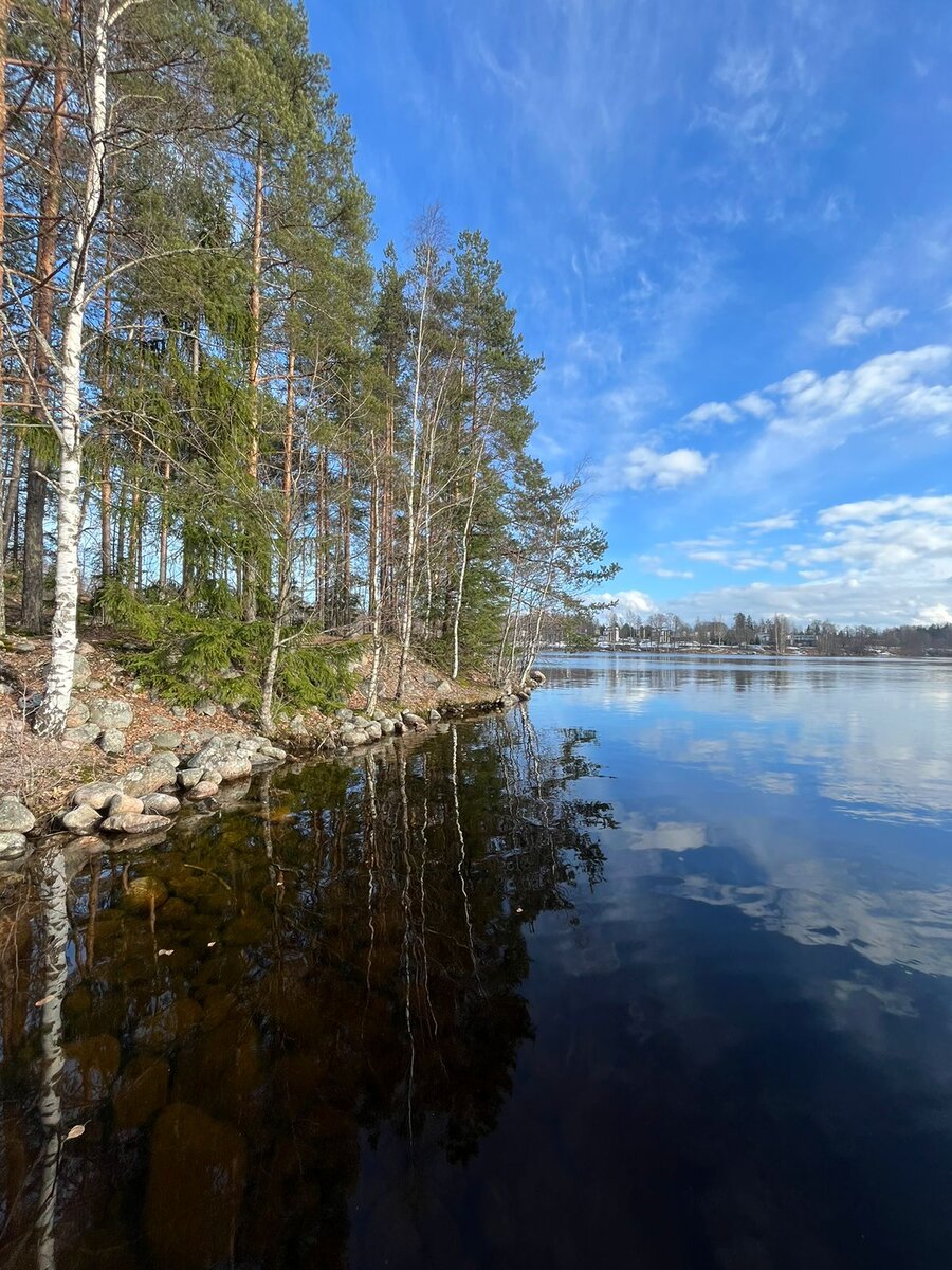 Весенняя Финляндия: пробуждение природы и велопутешествия | Никита Suomi |  Дзен