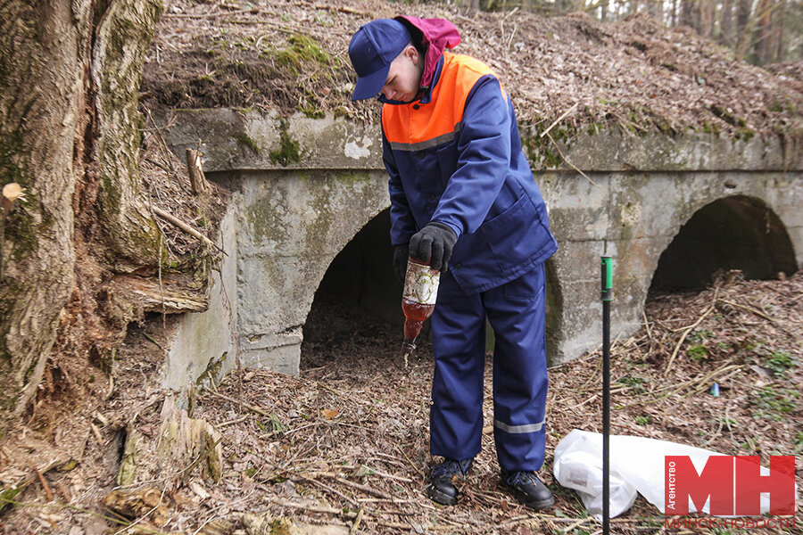 Сад зимой. Зима. Консервированные овощи. Заготовки на зиму. Притенение хвойников.