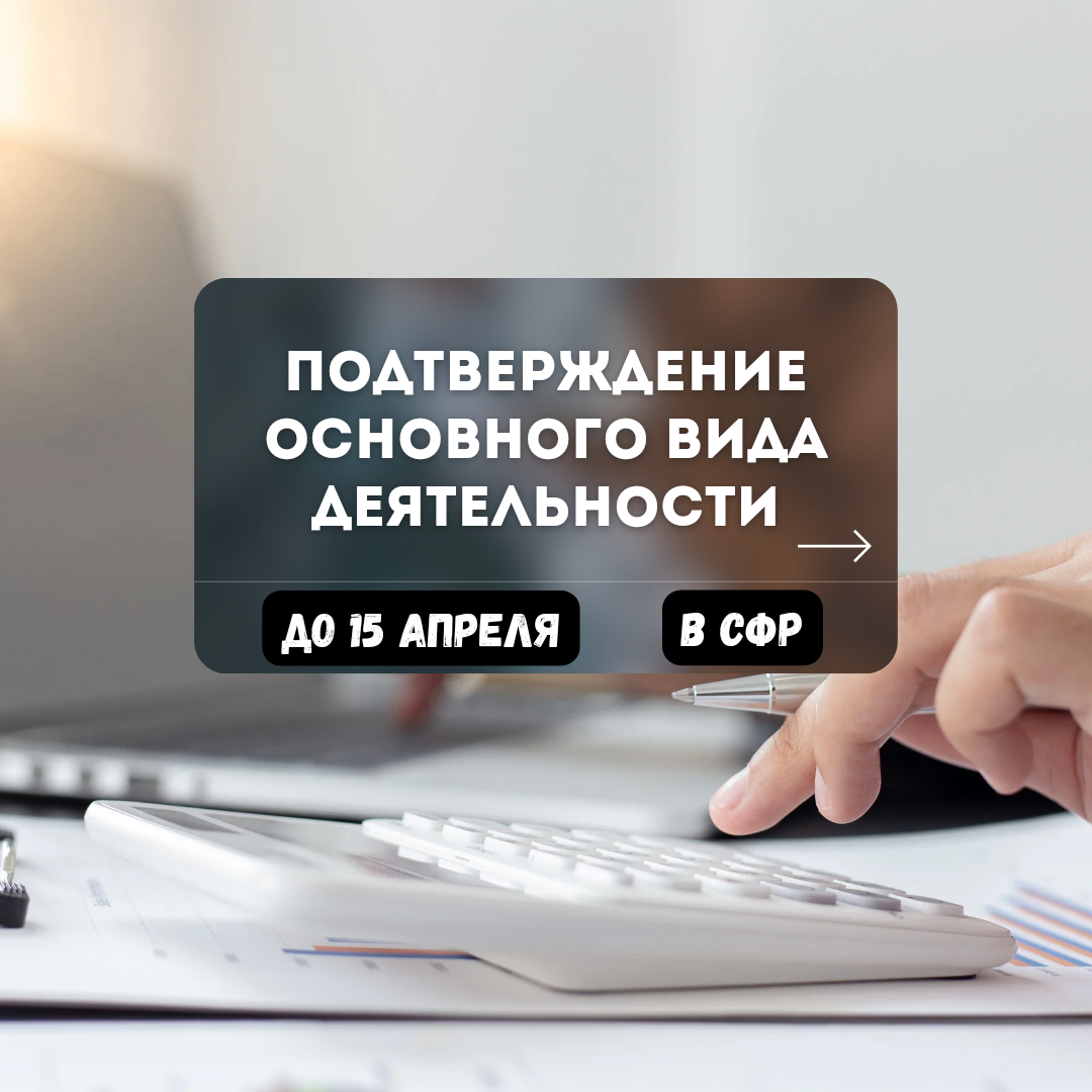 Подтверждение основного вида деятельности. Успейте до 15 апреля подать  документы в СФР | Бухгалтером может стать каждый | Дзен