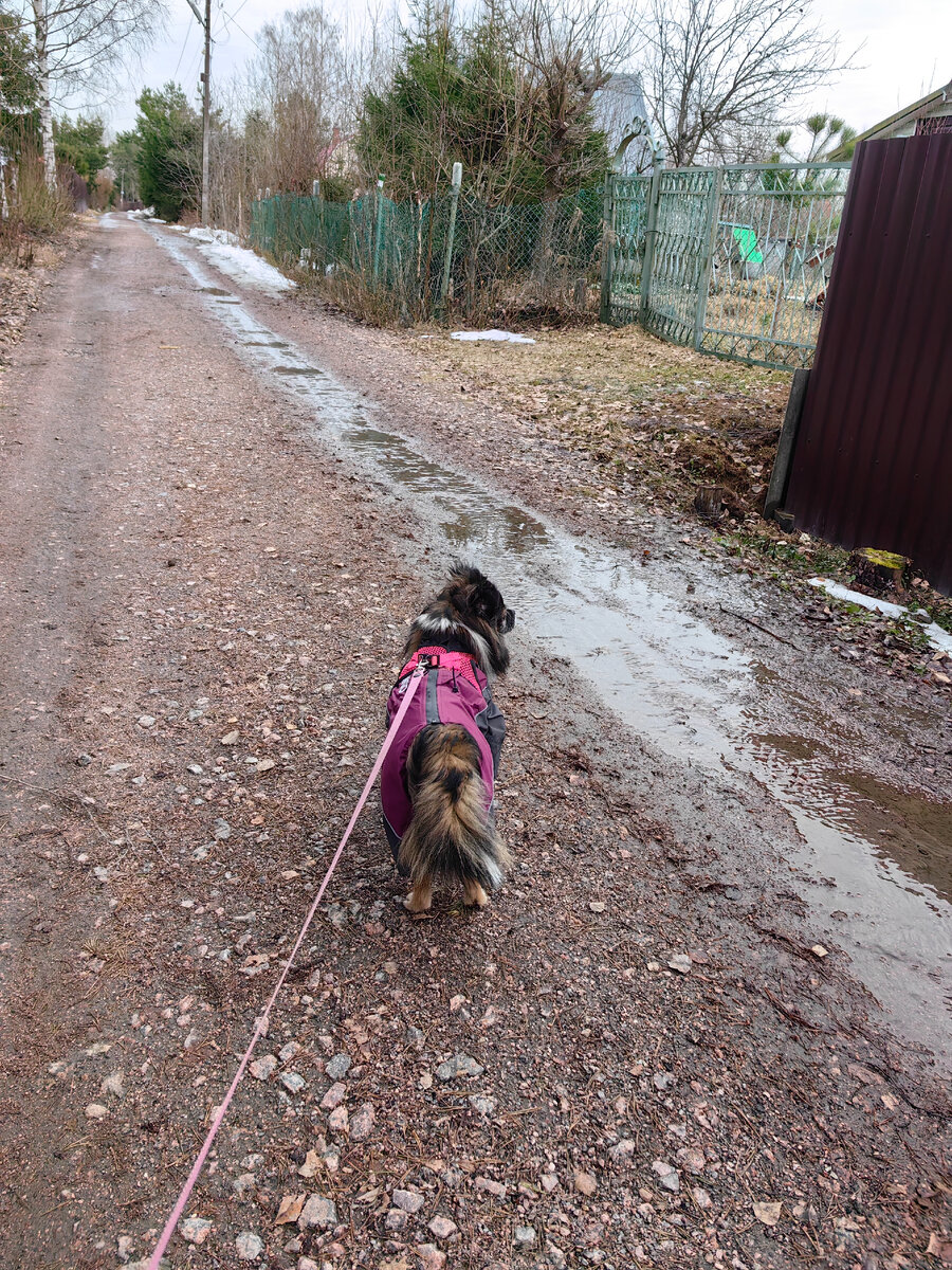 Если поменяли на машинах колеса, то точно пришла весна | От рака до ...