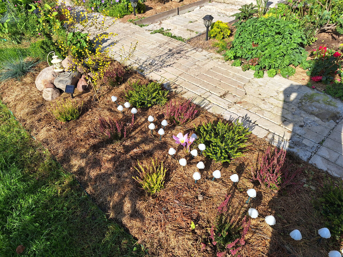 Вересковый садик. Осень