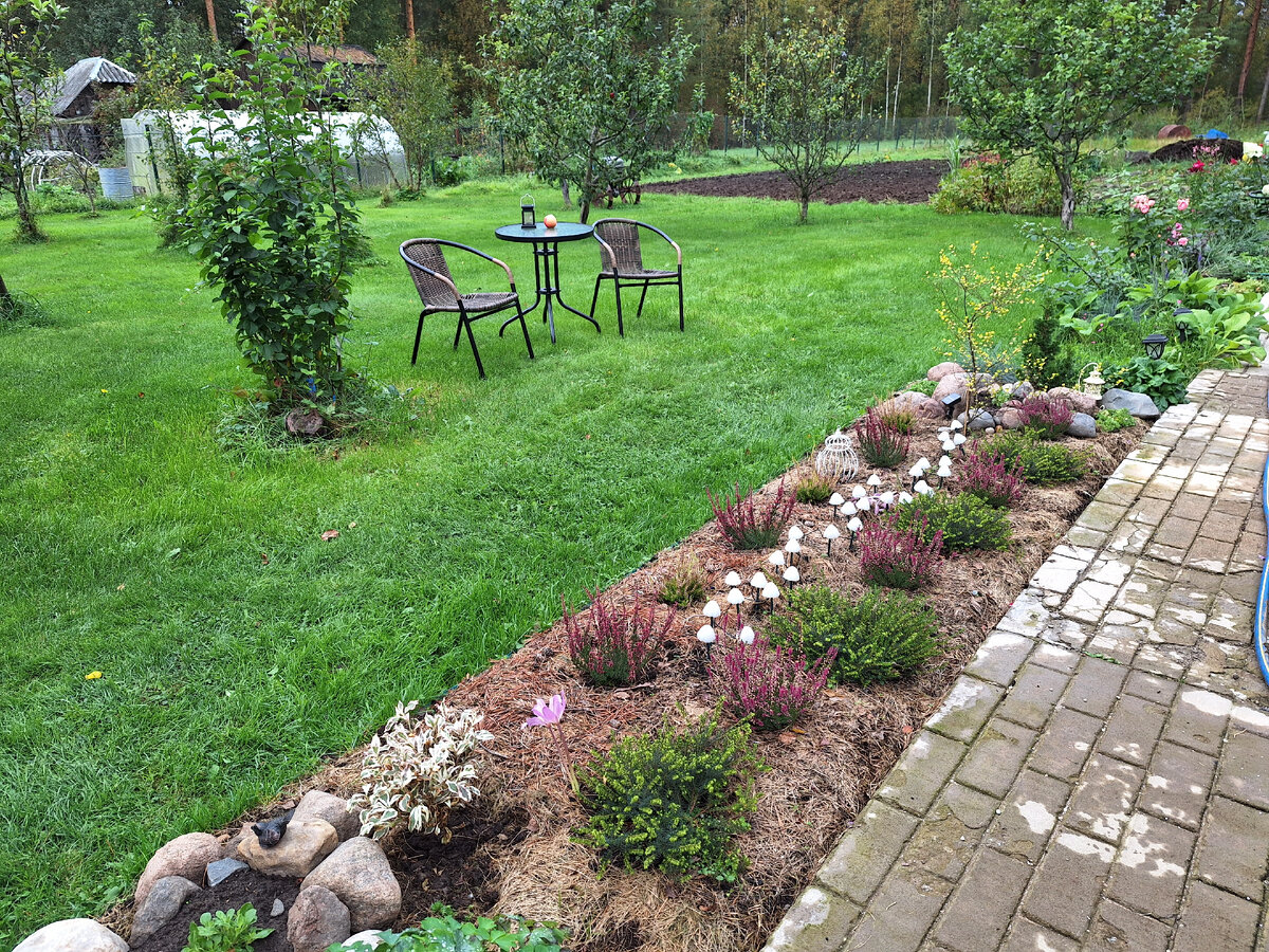 Вересковый садик в сентябре