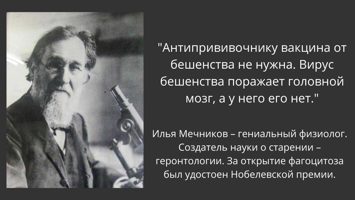 Мечников высказывания