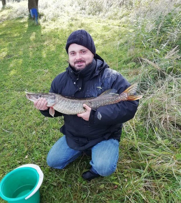 Щука 3,1 кг поймана на живца на ходовую донку