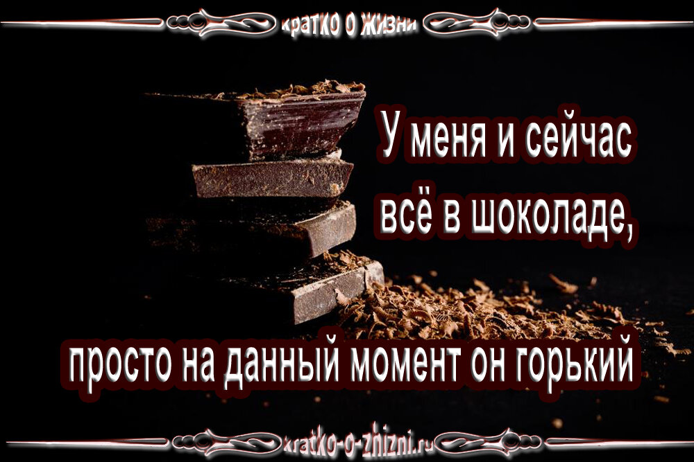 "Коротко о жизни"