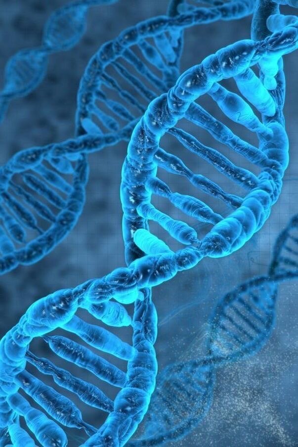 Сделать лучше отложить - биопсия: где поставим запятую? | Oncodok Хамис ...