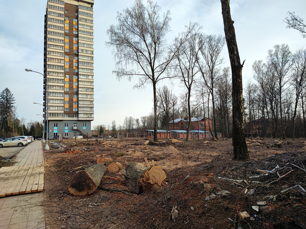 Вырубка леса на ул. Кутузова