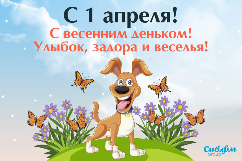 смешные открытки для поднятия настроения. белка с фотоаппаратом. смешные картинки дня. ура лето. открытки с летом.