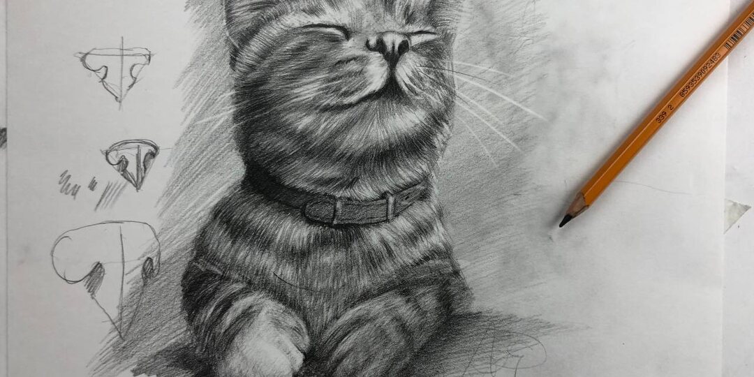 ✔️Расскажу, как научиться рисовать за 4 дня