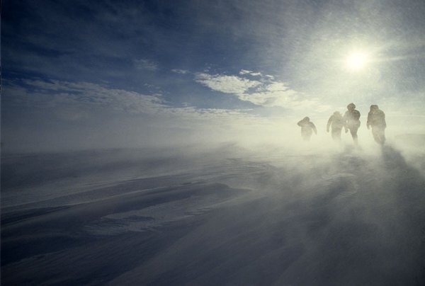 Буран в степи. Фото взято из открытых источников