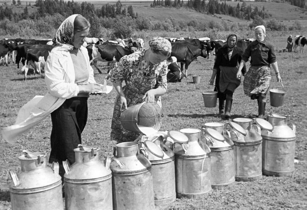 Колхоз определение кратко. Совхозы и колхозы различия. Совхозы и колхозы в ссср отличие. Колхоз и совхоз разница. Колхоз и совхоз разница.