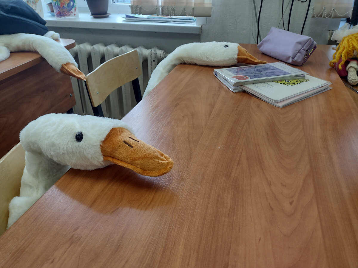 Гусей тоже нужно лечить!