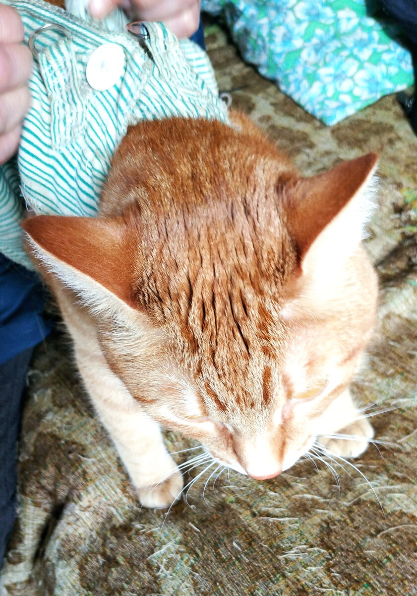 Личное  фото