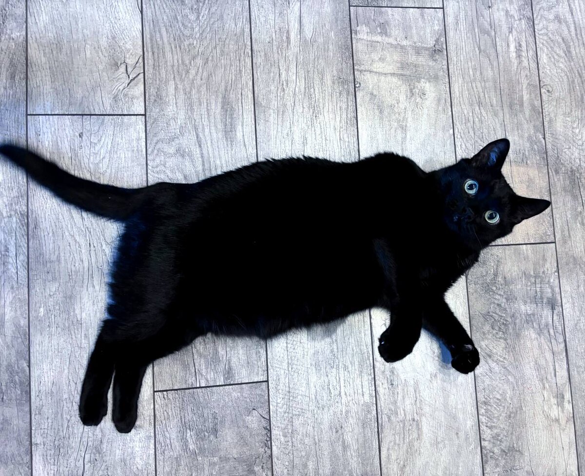 не решила еще, Шерлок Холмс он или Доктор Ватсон? А может, комиссар Мэгре или детектив Пуаро? 😅