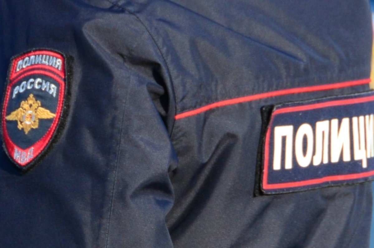    В Петербурге арестовали подозреваемых в краже украшений на 9 млн у актрисы