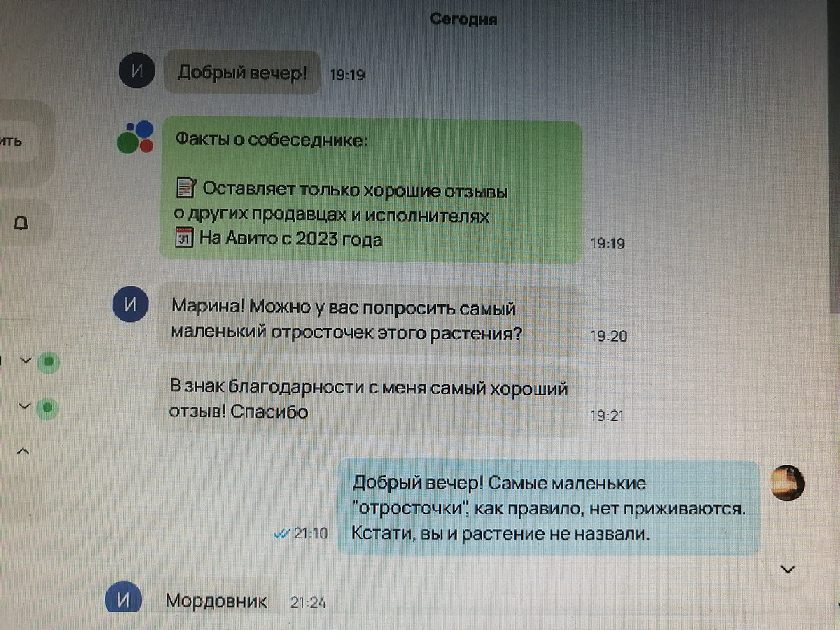 Мне бы на Авито было стыдно 